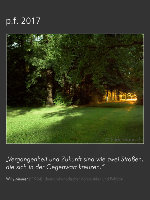 weiter zu meinem Portfolio (Öffnet in neuem Tab)