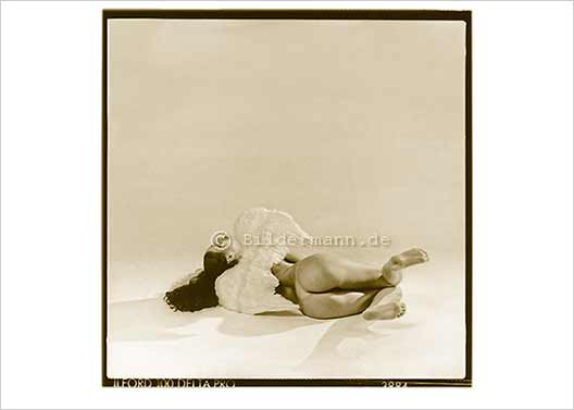 k&uuml;nstlerische Aktfotografie mit Titel: "Englisch" von Bildermann.de, Dresden/Germany